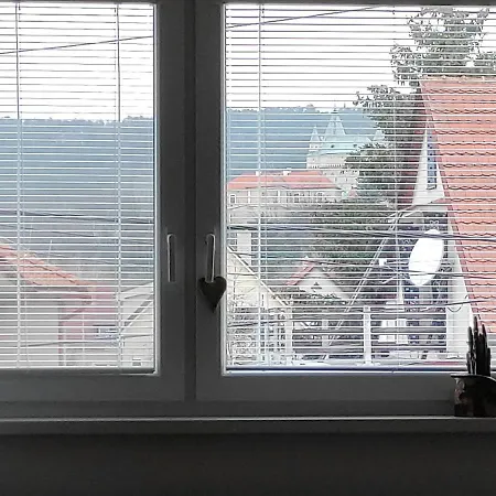 S Výhľadom Na Bojnický Zámok Bojnice