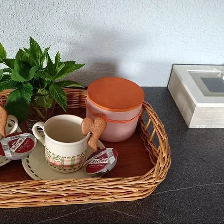 S Vyhladom Na Bojnicky Zamok Appartement