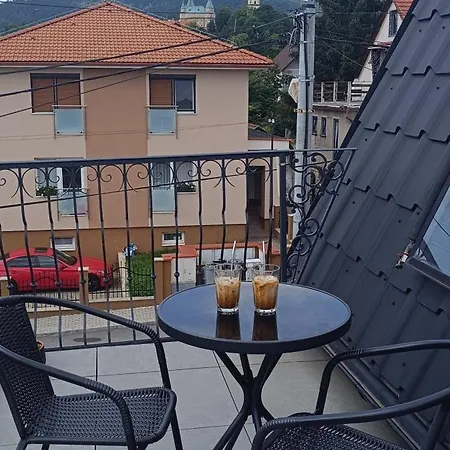 S Vyhladom Na Bojnicky Zamok * Bojnice